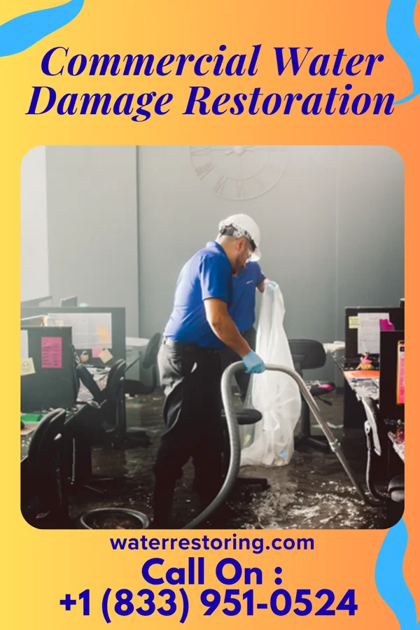 Commercial Water Damage Restoration in Industry, IL
