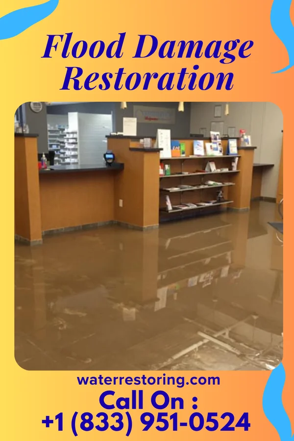 Flood Damage Restoration in Industry, IL
